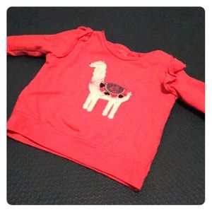 Long sleeve Llama (light weight sweater)